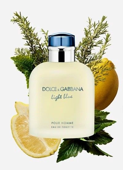 Dolce & Gabbana Light Blue Eau de Toilette for Men – 2.5 oz | Fresh Citrus Cologne - YASOOBA ENTERPRISES LLC