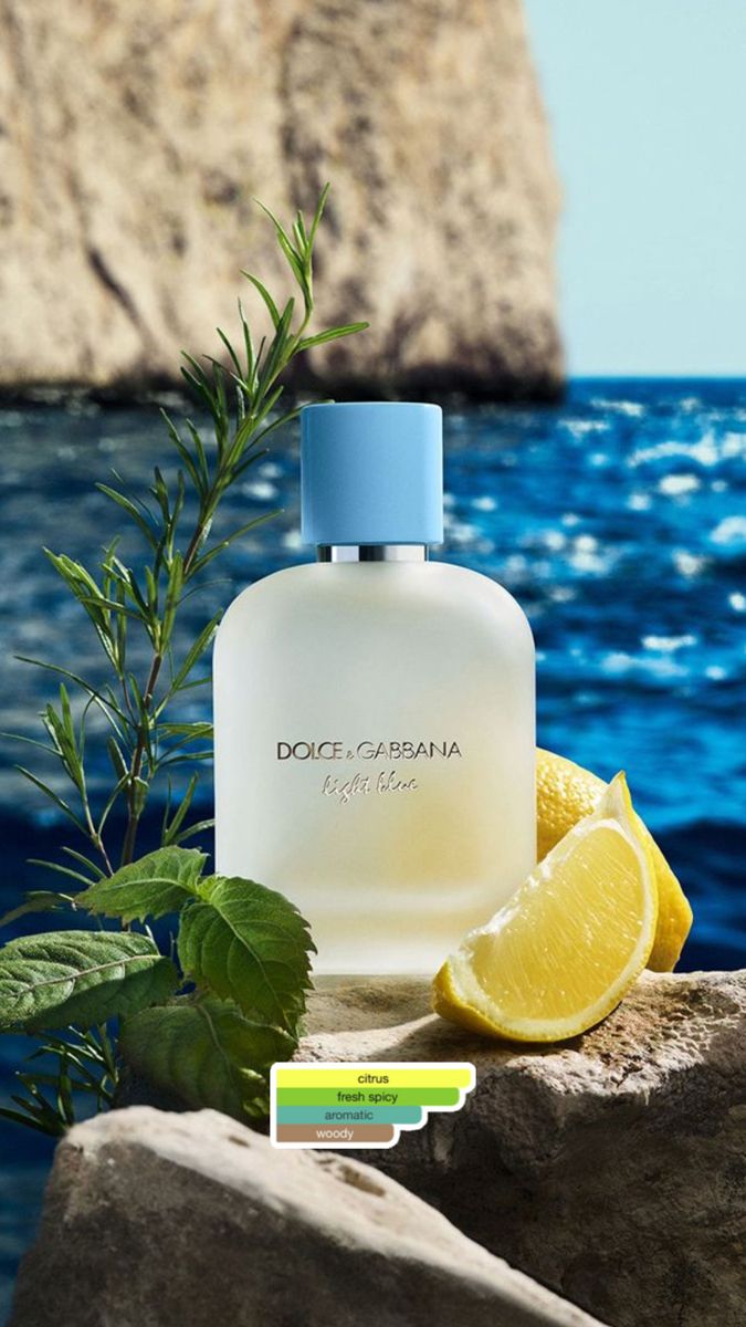 Dolce & Gabbana Light Blue Eau de Toilette for Men – 2.5 oz | Fresh Citrus Cologne - YASOOBA ENTERPRISES LLC